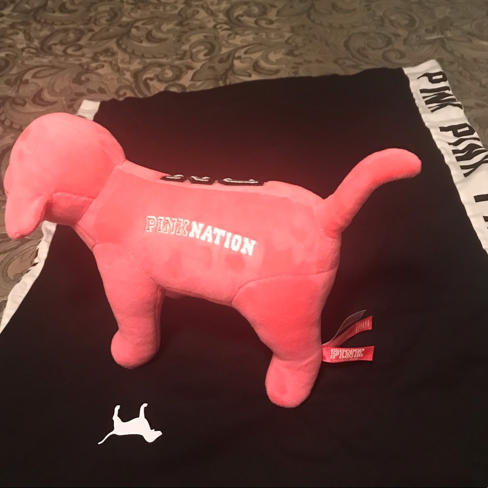 Large size VS pink dog